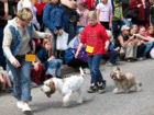 Koirien Match show keräsi runsaasti osallistujia ja yleisöä